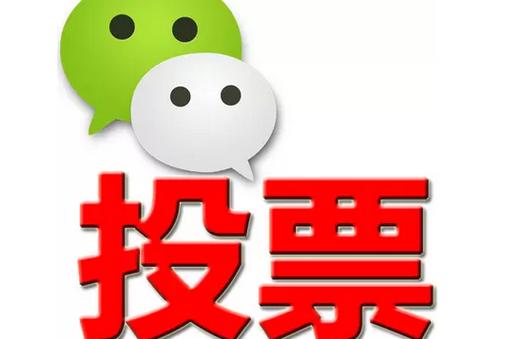 舟山市微信投票功能开发 上传图片投票